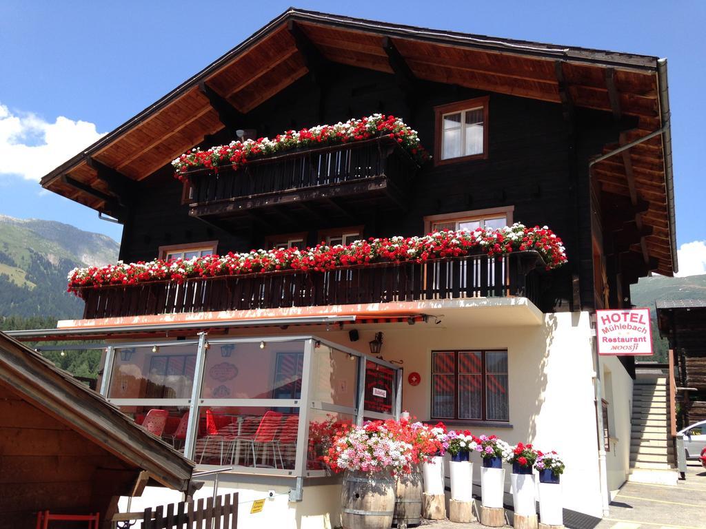 Hotel Haus Muehlebach Ernen ภายนอก รูปภาพ