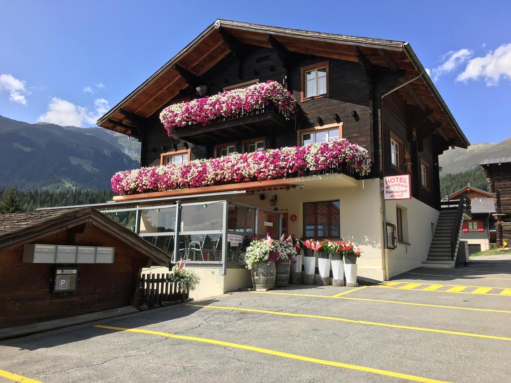 Hotel Haus Muehlebach Ernen ภายนอก รูปภาพ