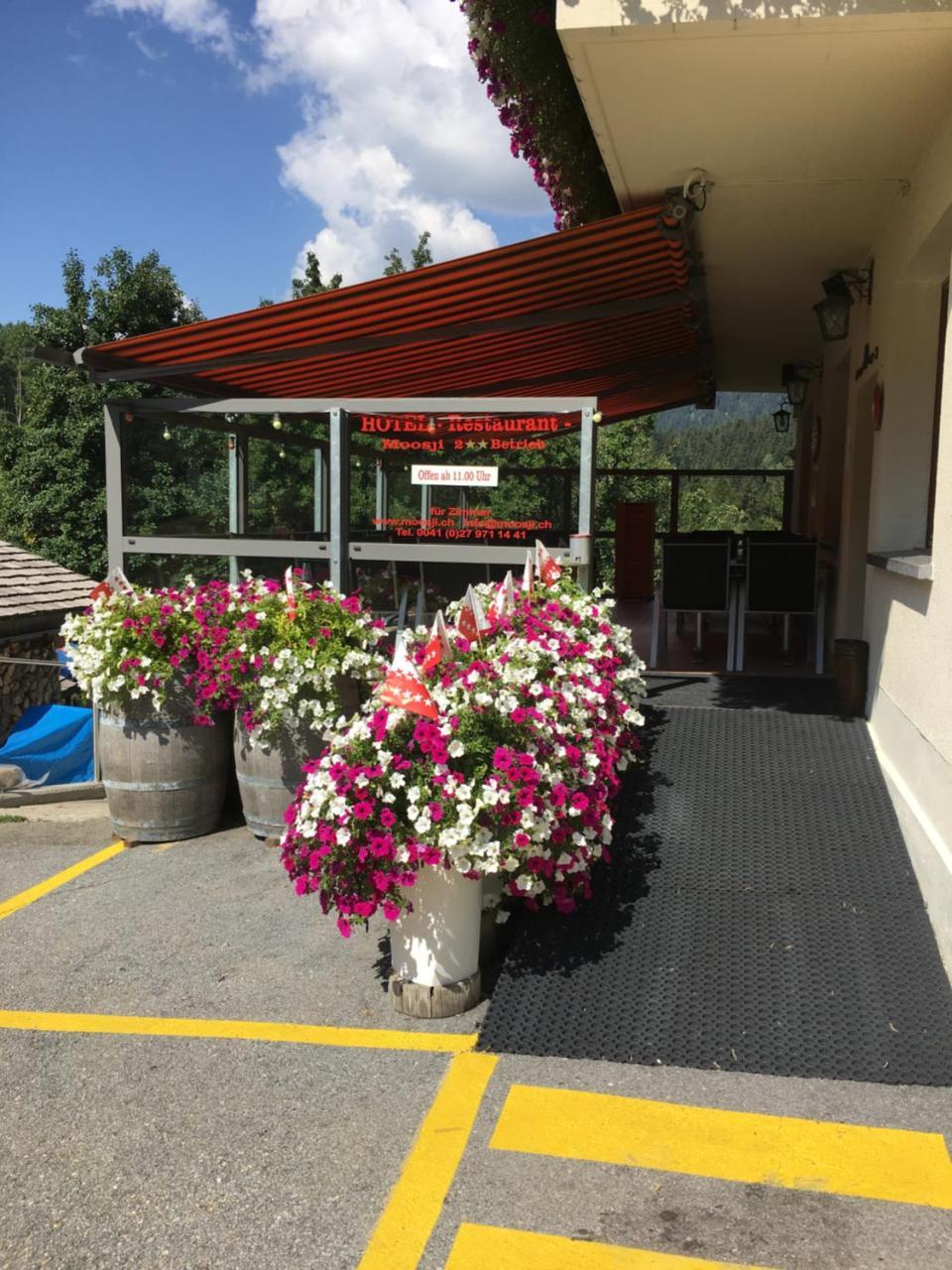 Hotel Haus Muehlebach Ernen ภายนอก รูปภาพ
